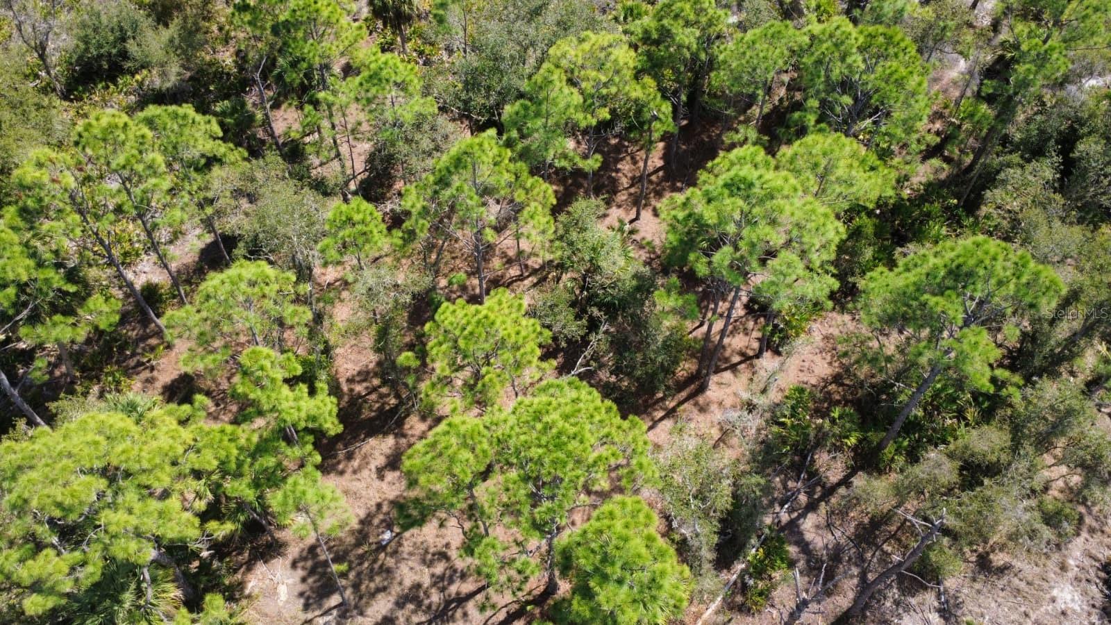 17455 BLY AVE, PORT CHARLOTTE, FL, 33948