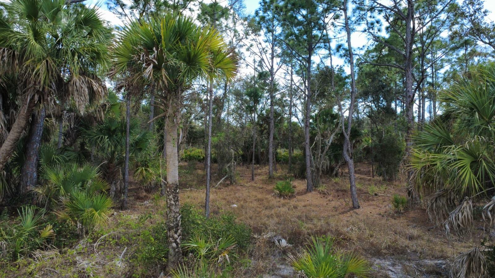 17455 BLY AVE, PORT CHARLOTTE, FL, 33948