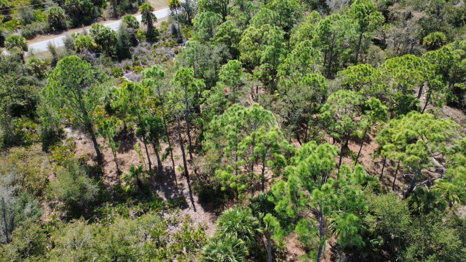 17455 BLY AVE, PORT CHARLOTTE, FL, 33948