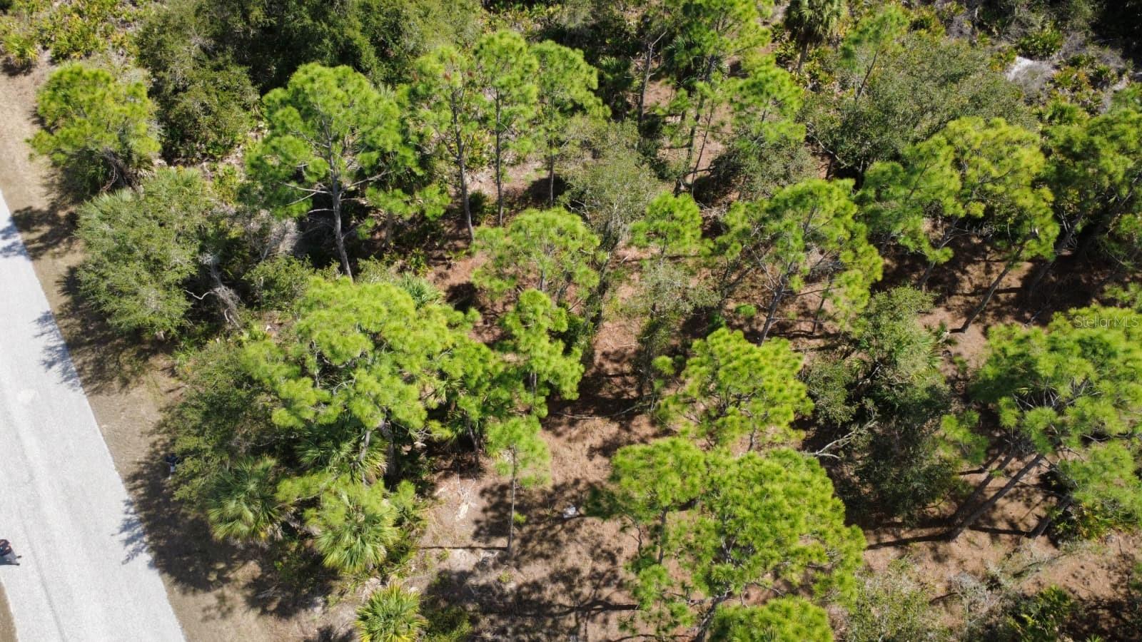 17455 BLY AVE, PORT CHARLOTTE, FL, 33948