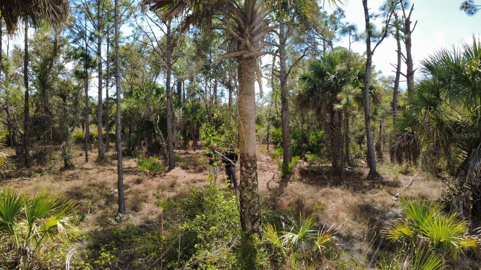 17455 BLY AVE, PORT CHARLOTTE, FL, 33948