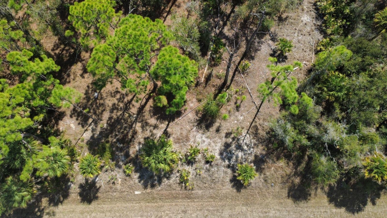 17455 BLY AVE, PORT CHARLOTTE, FL, 33948