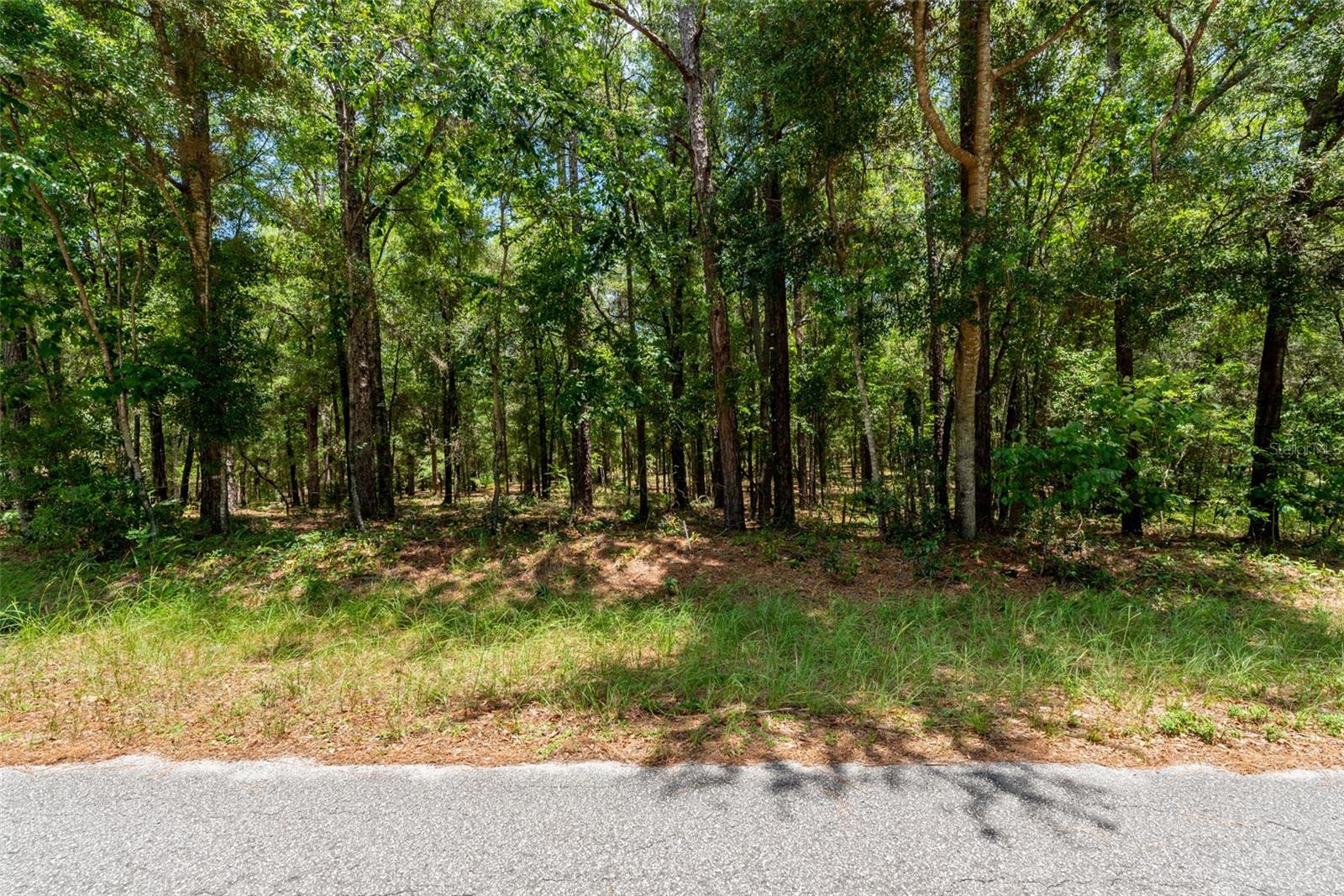 SW 73 LOOP, DUNNELLON, FL, 34432
