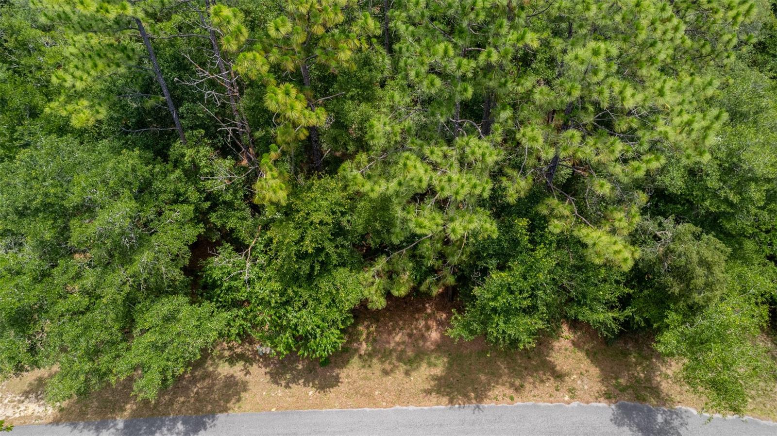 SW 73 LOOP, DUNNELLON, FL, 34432