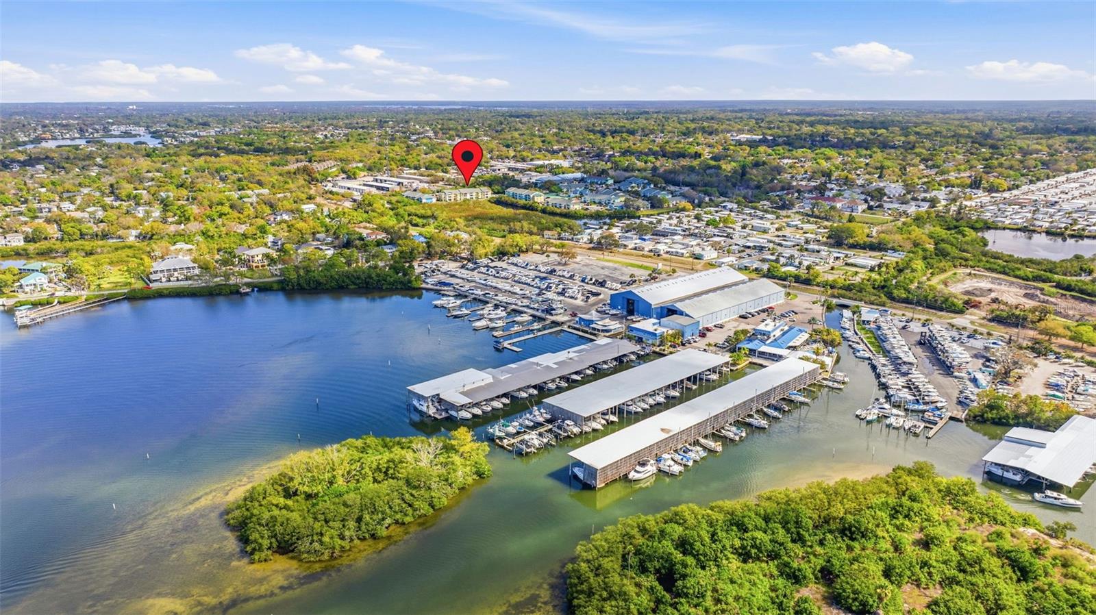 455 ALT 19 S #163, PALM HARBOR, FL, 34683