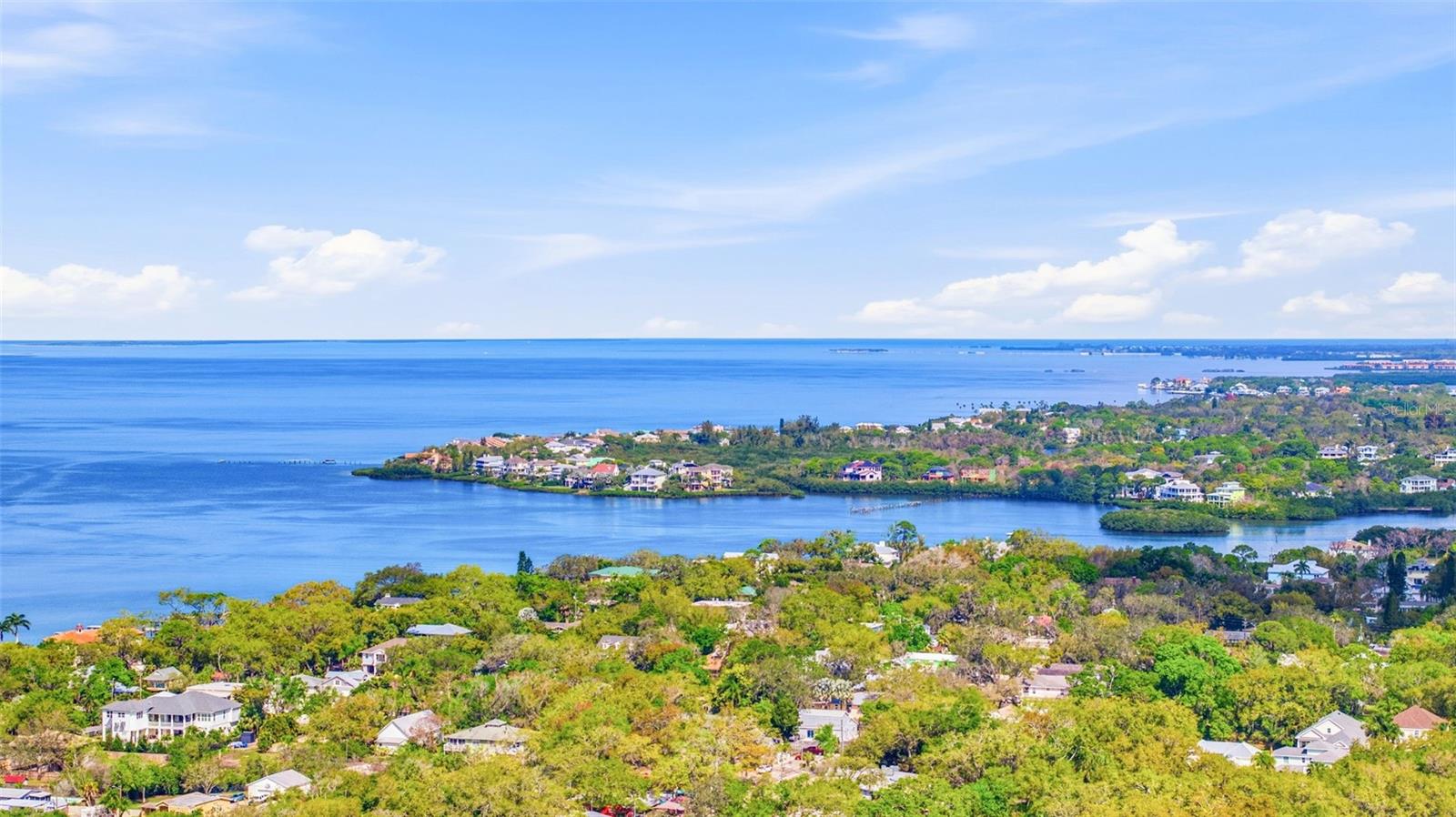455 ALT 19 S #163, PALM HARBOR, FL, 34683