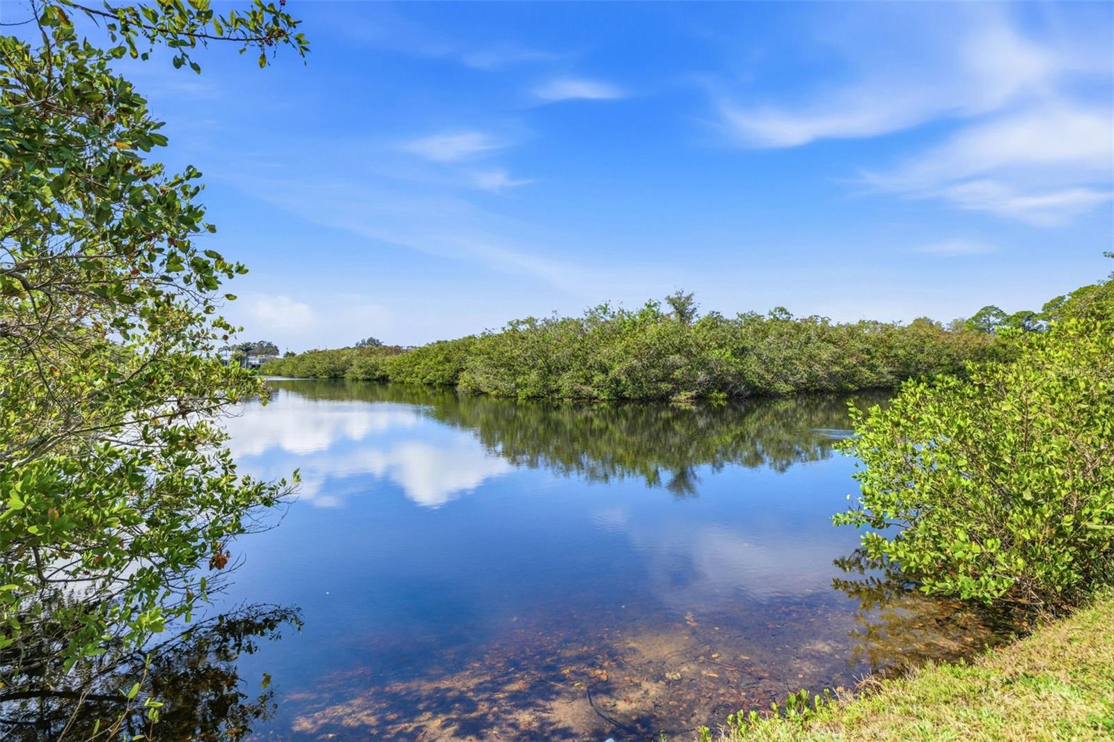 455 ALT 19 S #163, PALM HARBOR, FL, 34683