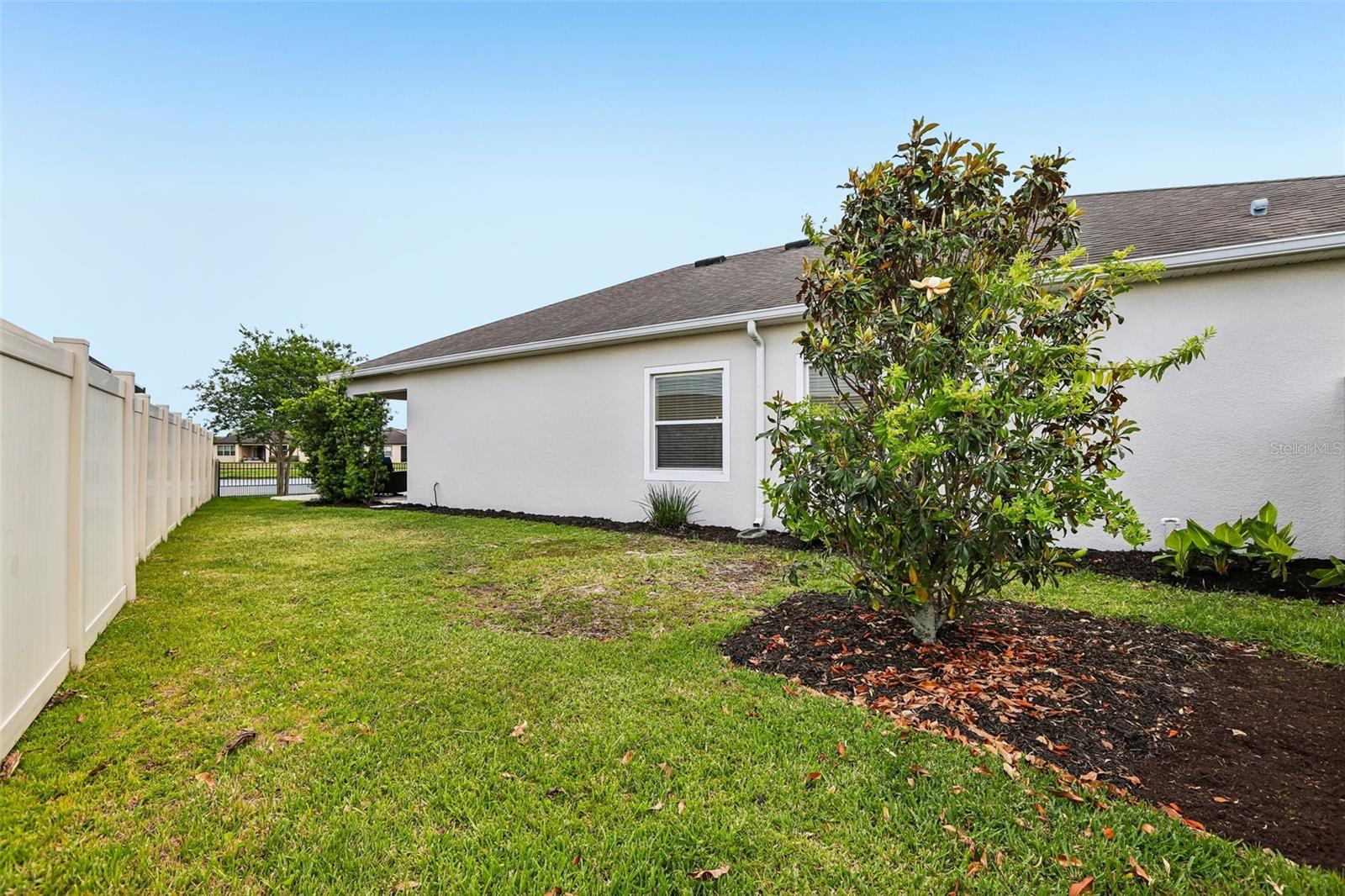 8245 OLIVE BROOK DR, WESLEY CHAPEL, FL, 33545