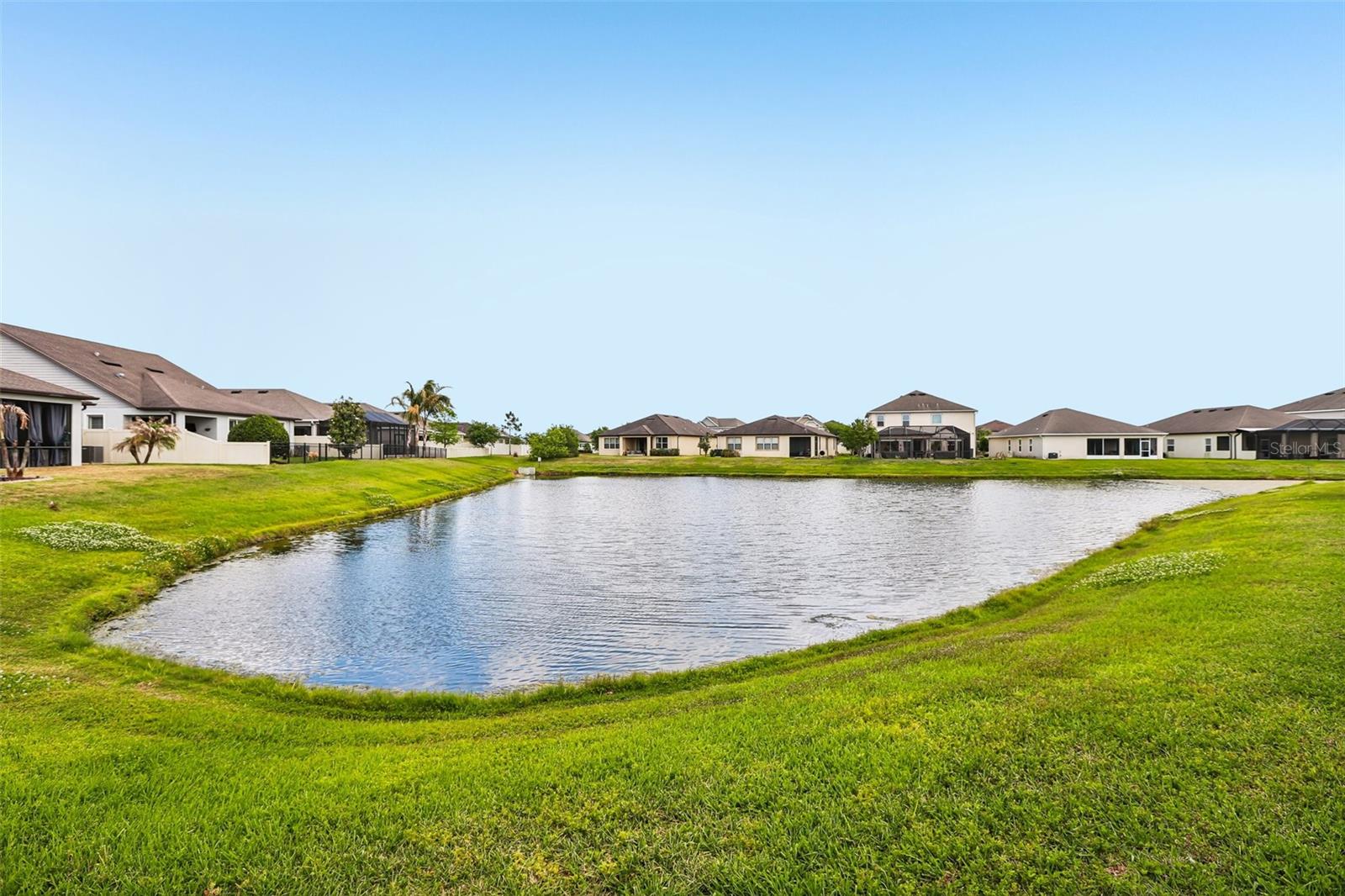 8245 OLIVE BROOK DR, WESLEY CHAPEL, FL, 33545