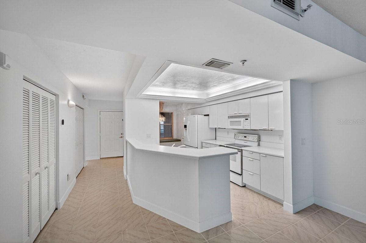 4555 S ATLANTIC AVE #4411, PORT ORANGE, FL, 32127