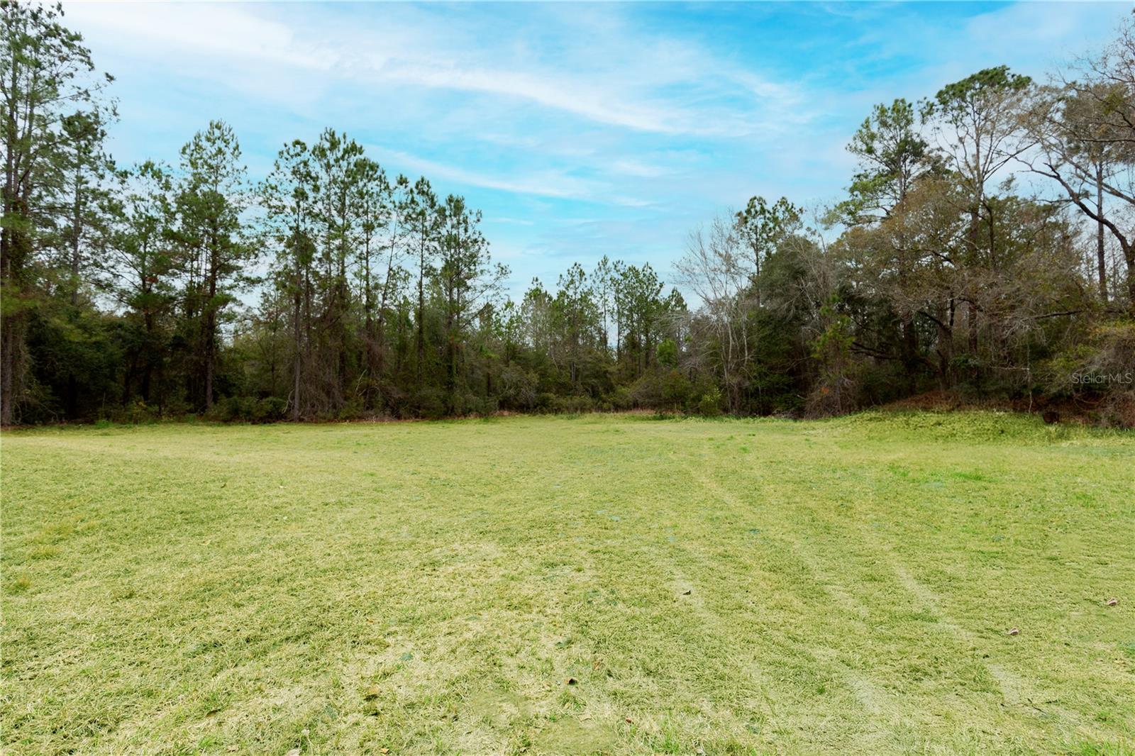 11602 NE US HIGHWAY 301, WALDO, FL, 32694
