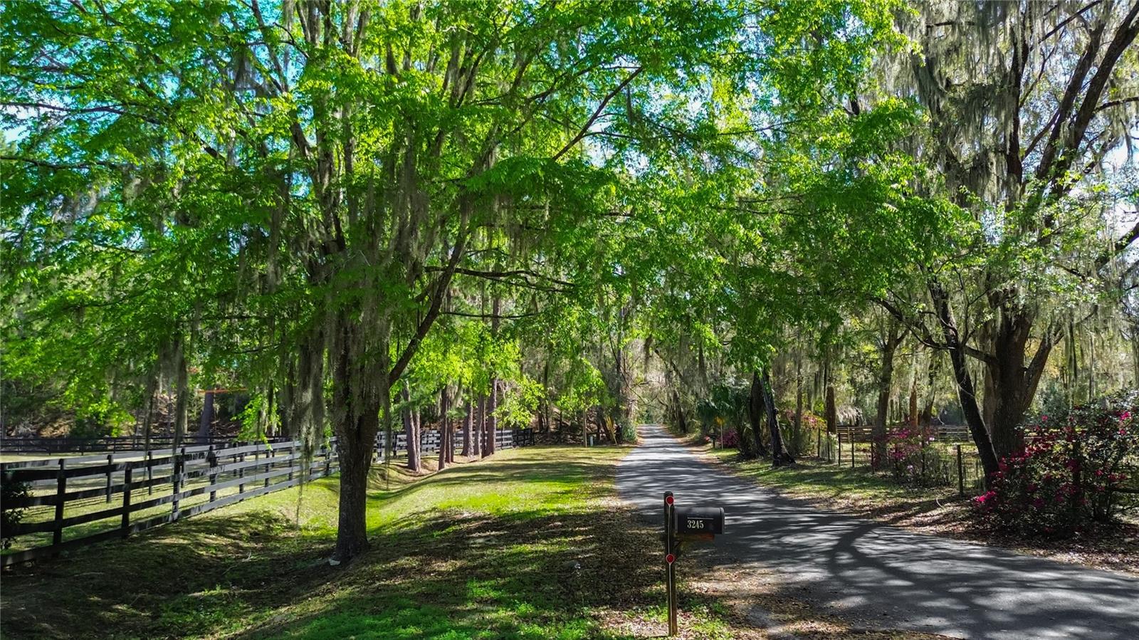 3245 NW 137TH PL, REDDICK, FL, 32686