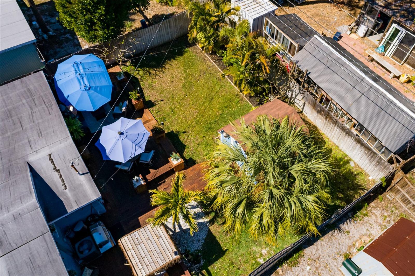 Tropical fenced back yard.