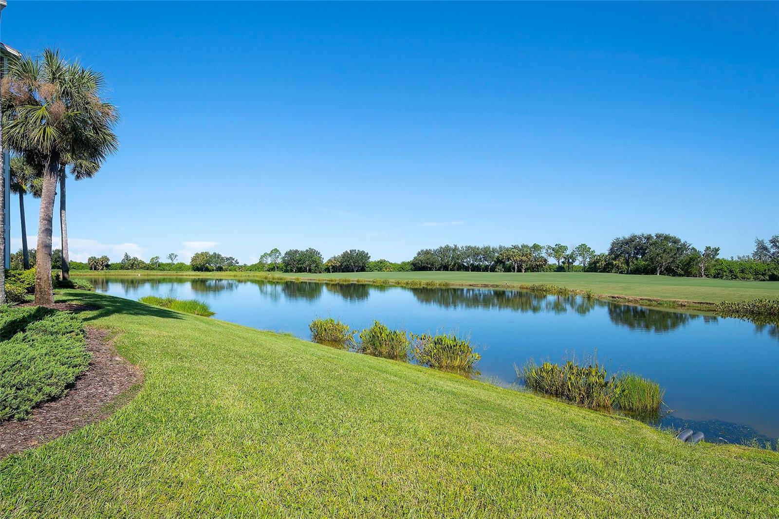 7121 RIVER HAMMOCK DR #303, BRADENTON, FL, 34212
