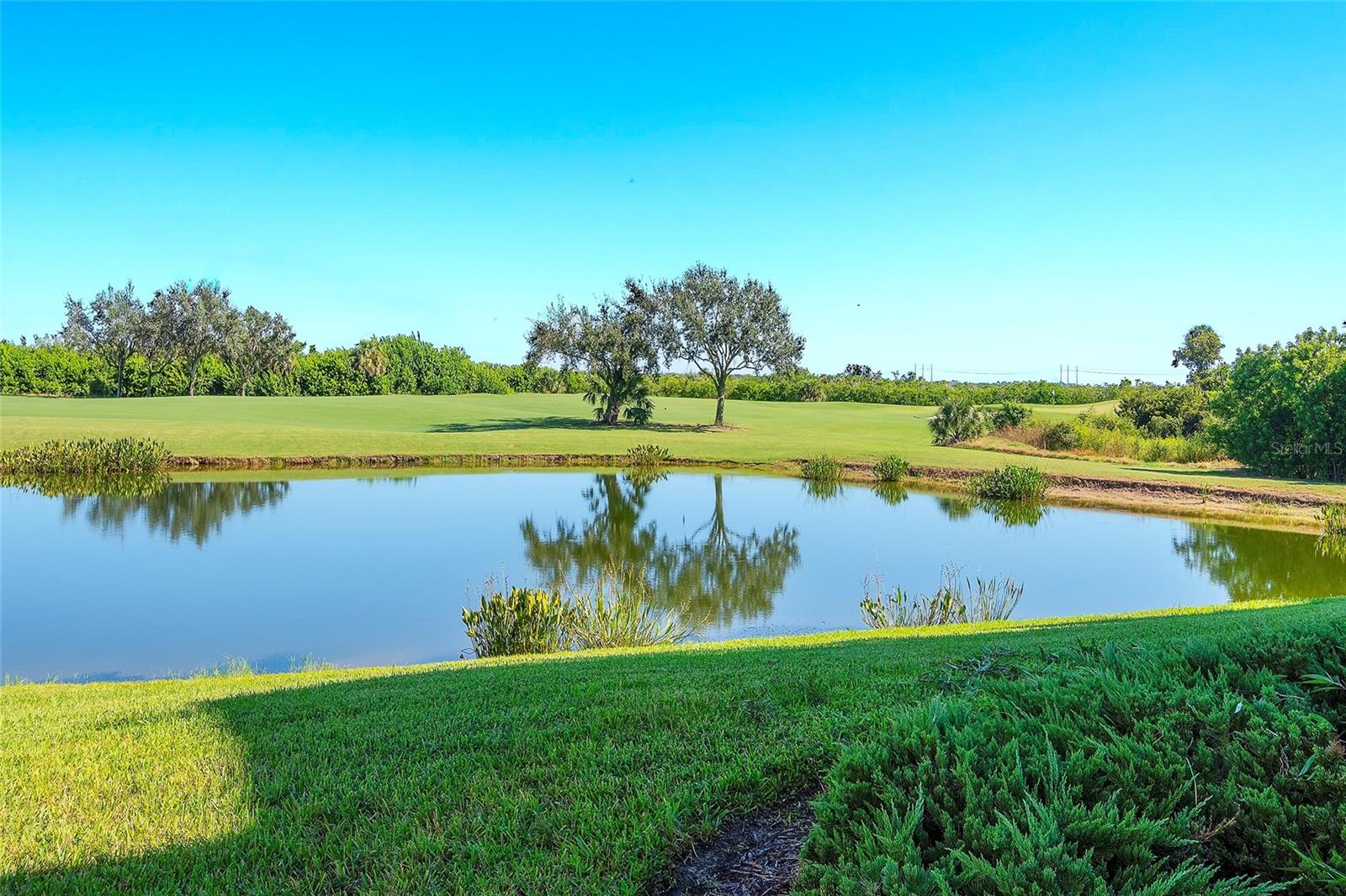 7121 RIVER HAMMOCK DR #303, BRADENTON, FL, 34212