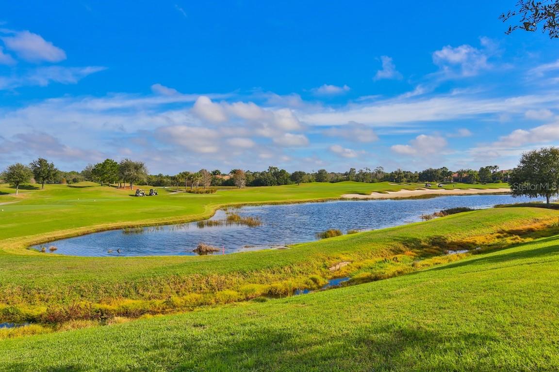7121 RIVER HAMMOCK DR #303, BRADENTON, FL, 34212