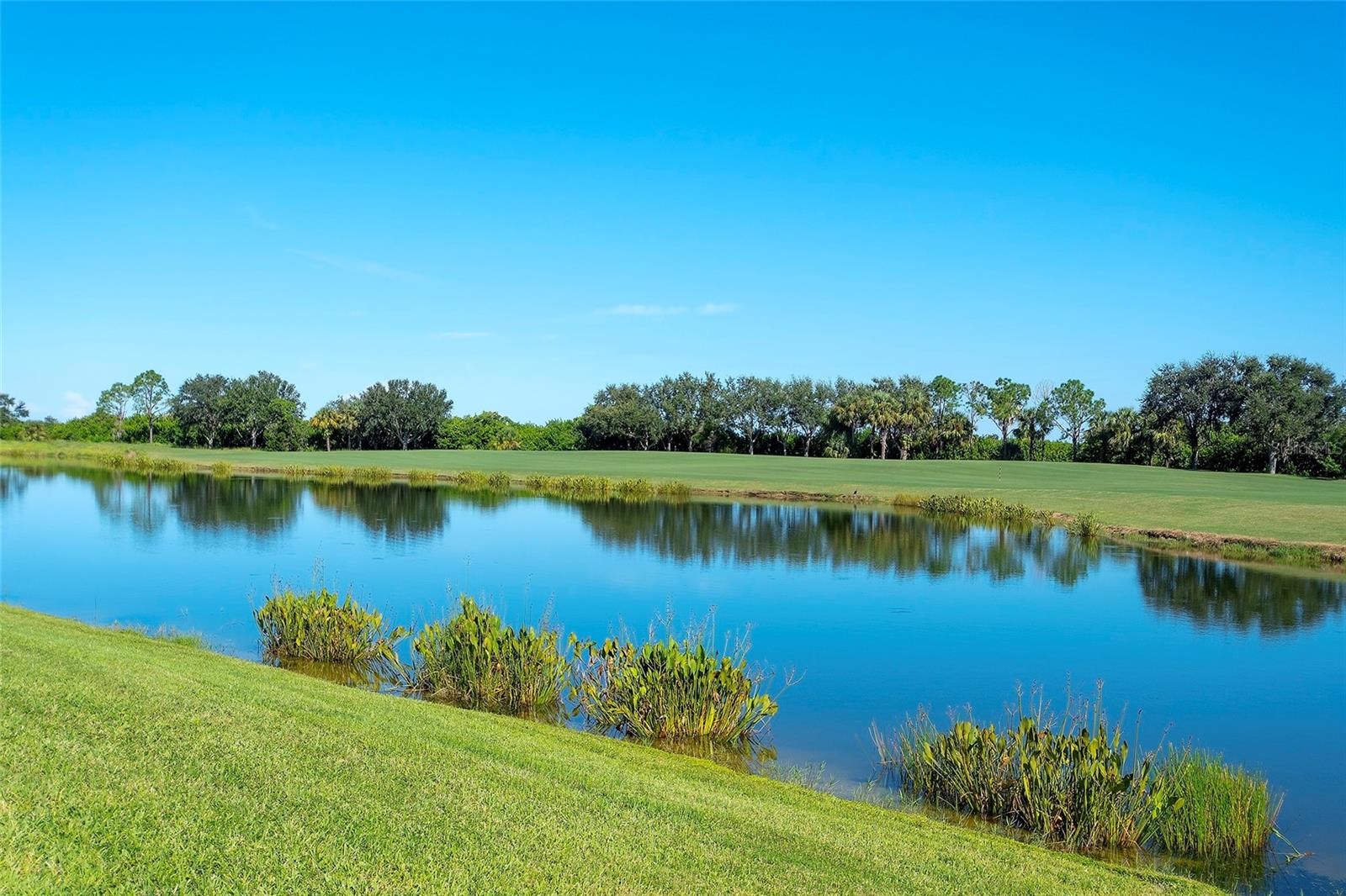 7121 RIVER HAMMOCK DR #303, BRADENTON, FL, 34212