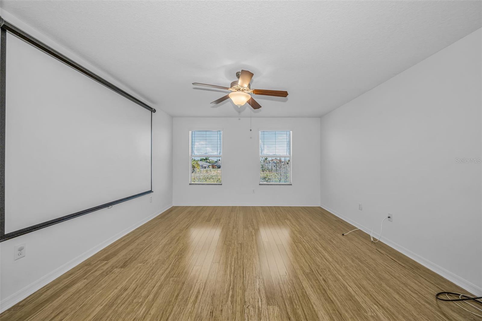 Bonus room with projection screen