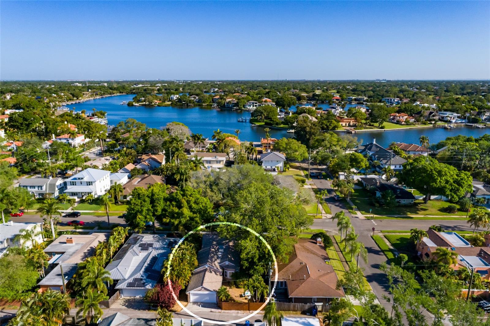 Dolphin and manatee watching is your new hobby!