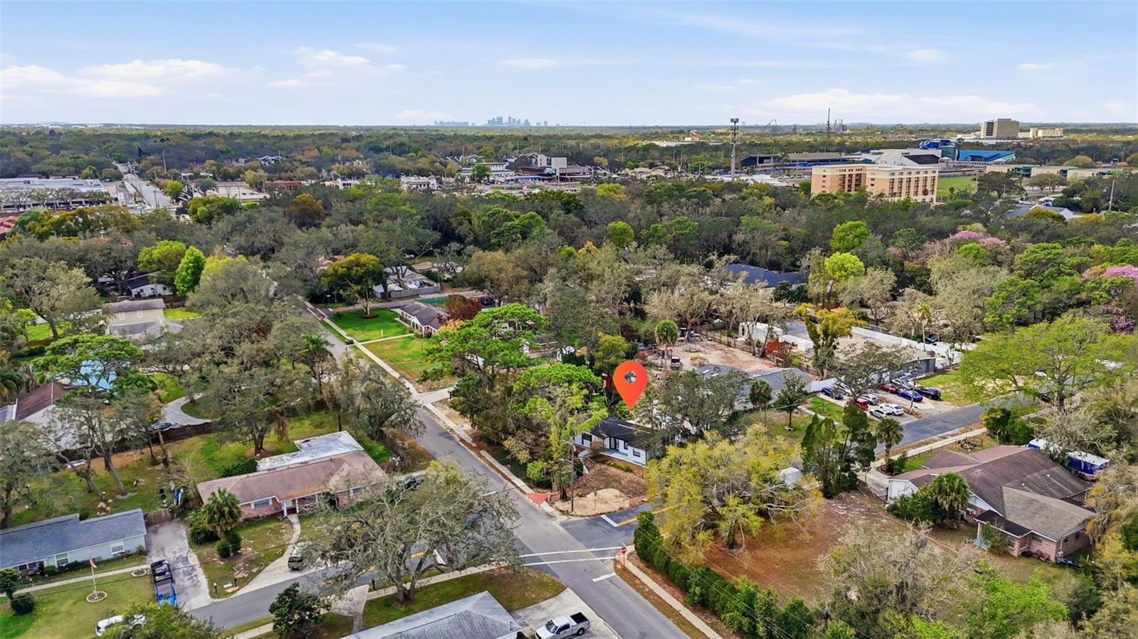 12116 N 52ND ST, TEMPLE TERRACE, FL, 33617