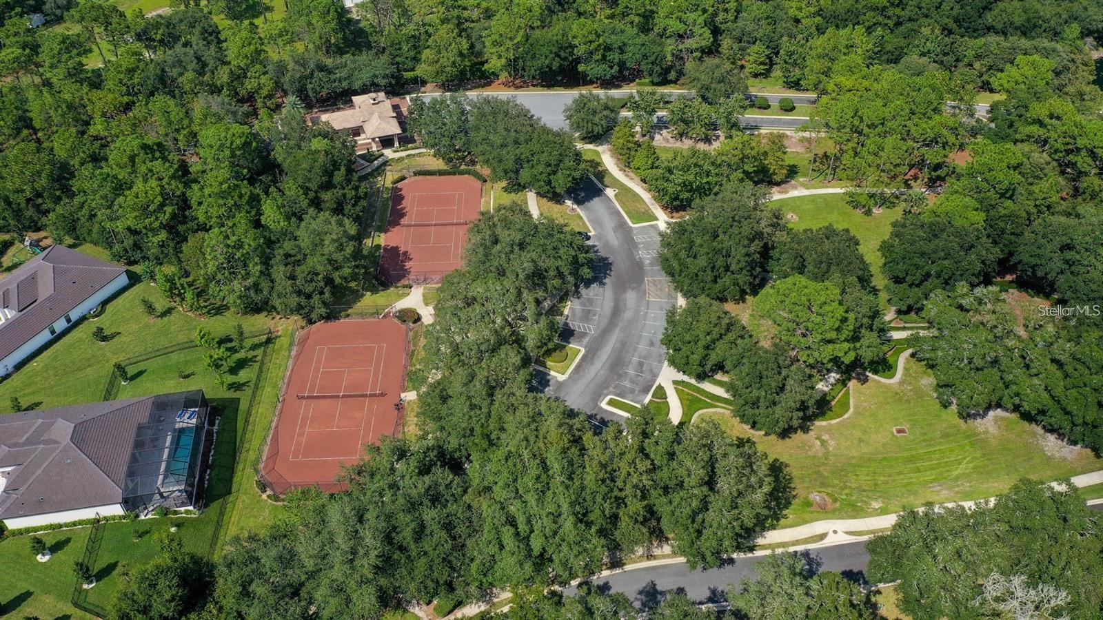 25620 GRANDVIEW POINTE, SORRENTO, FL, 32776