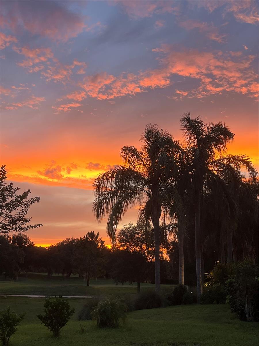 25620 GRANDVIEW POINTE, SORRENTO, FL, 32776