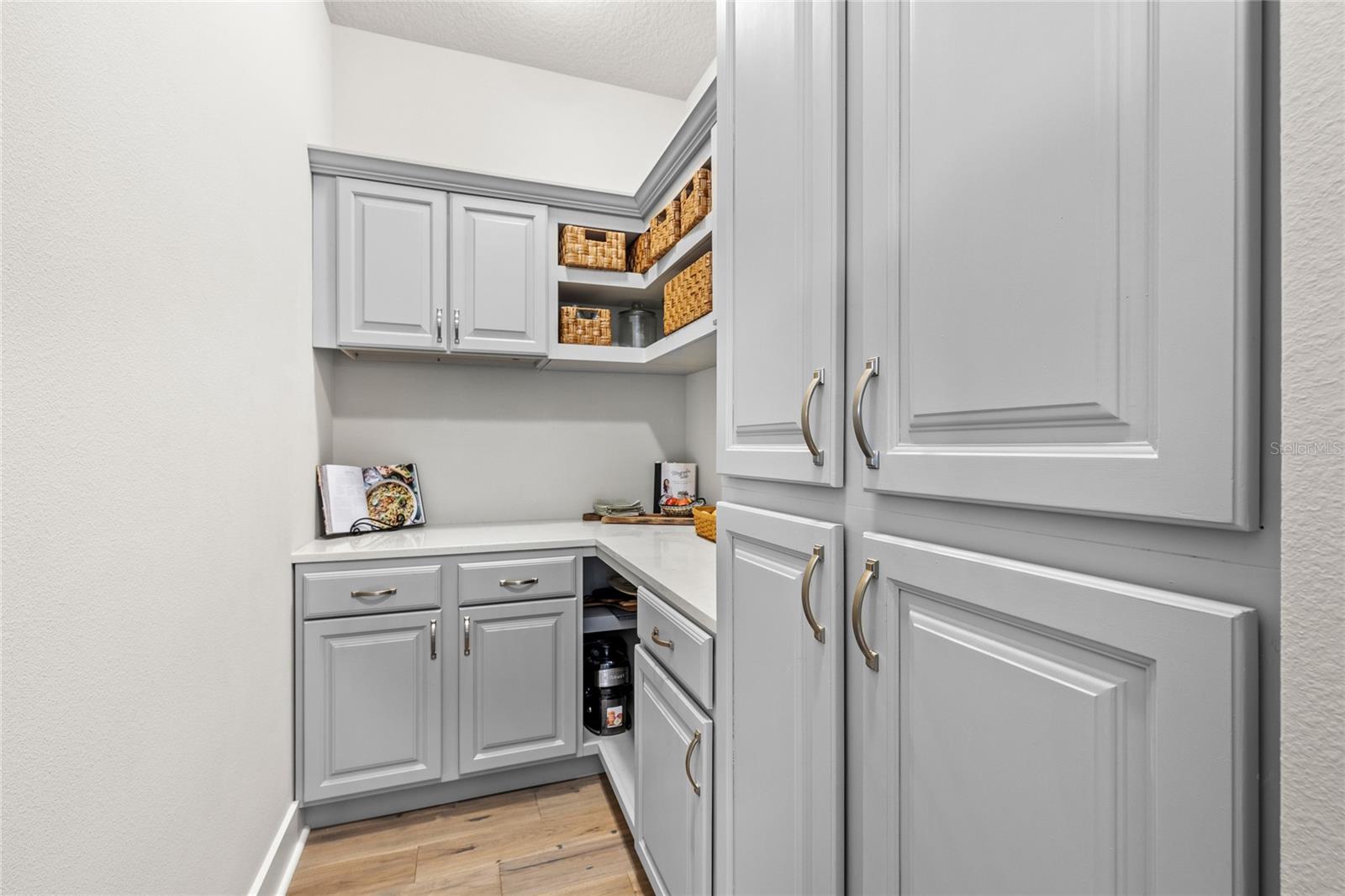 25620 GRANDVIEW POINTE, SORRENTO, FL, 32776