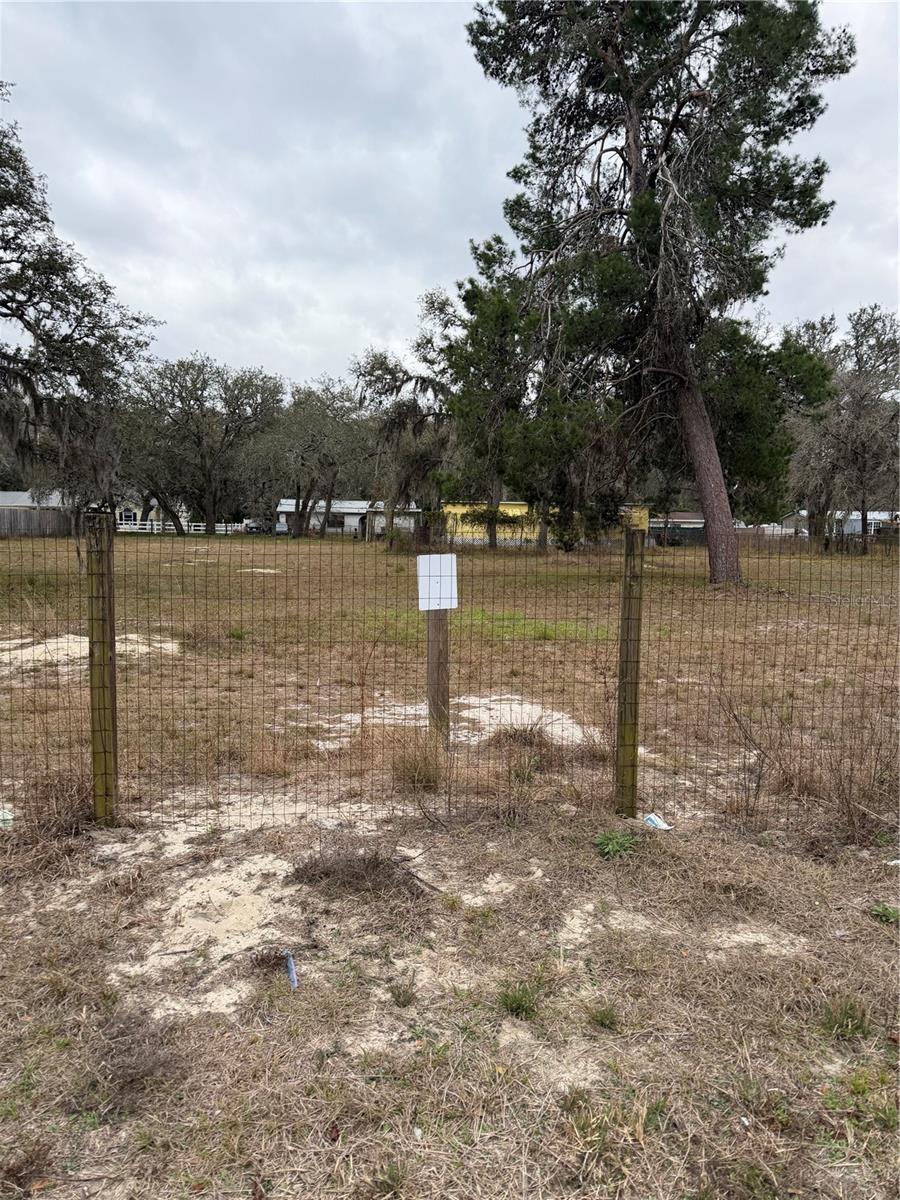 12013 BETHWOOD AVE, NEW PORT RICHEY, FL, 34654