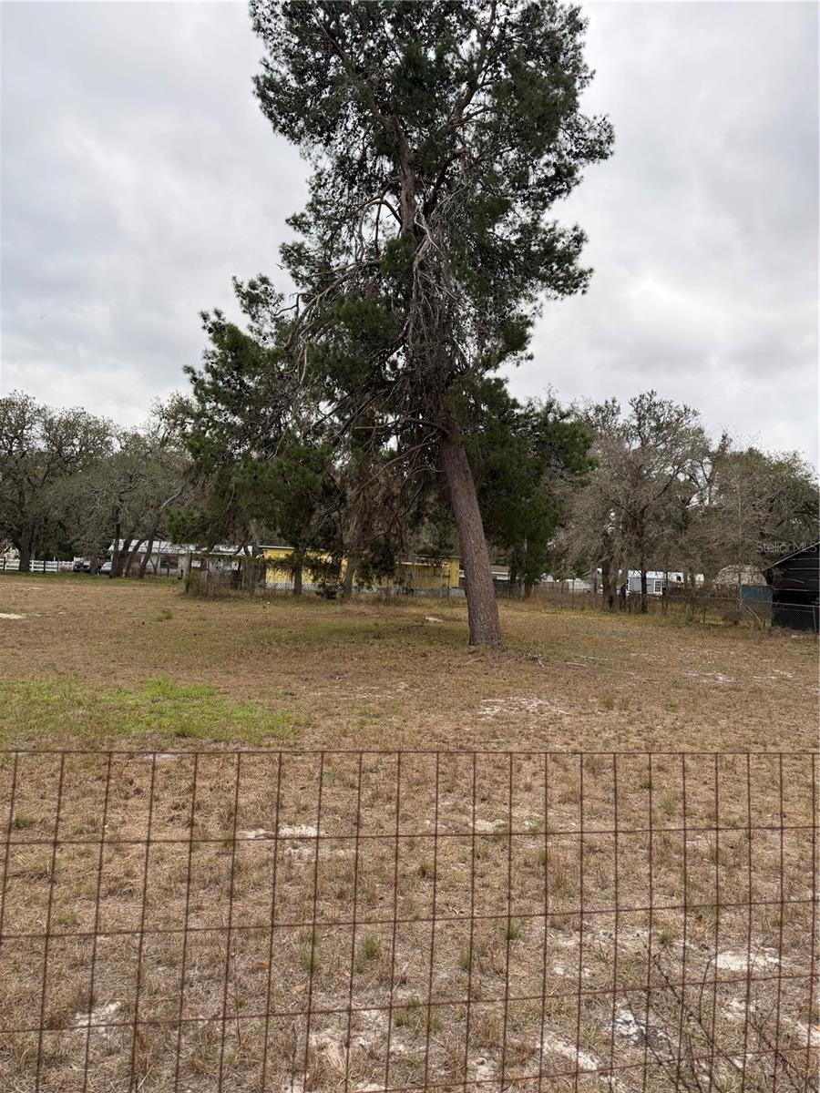 12013 BETHWOOD AVE, NEW PORT RICHEY, FL, 34654