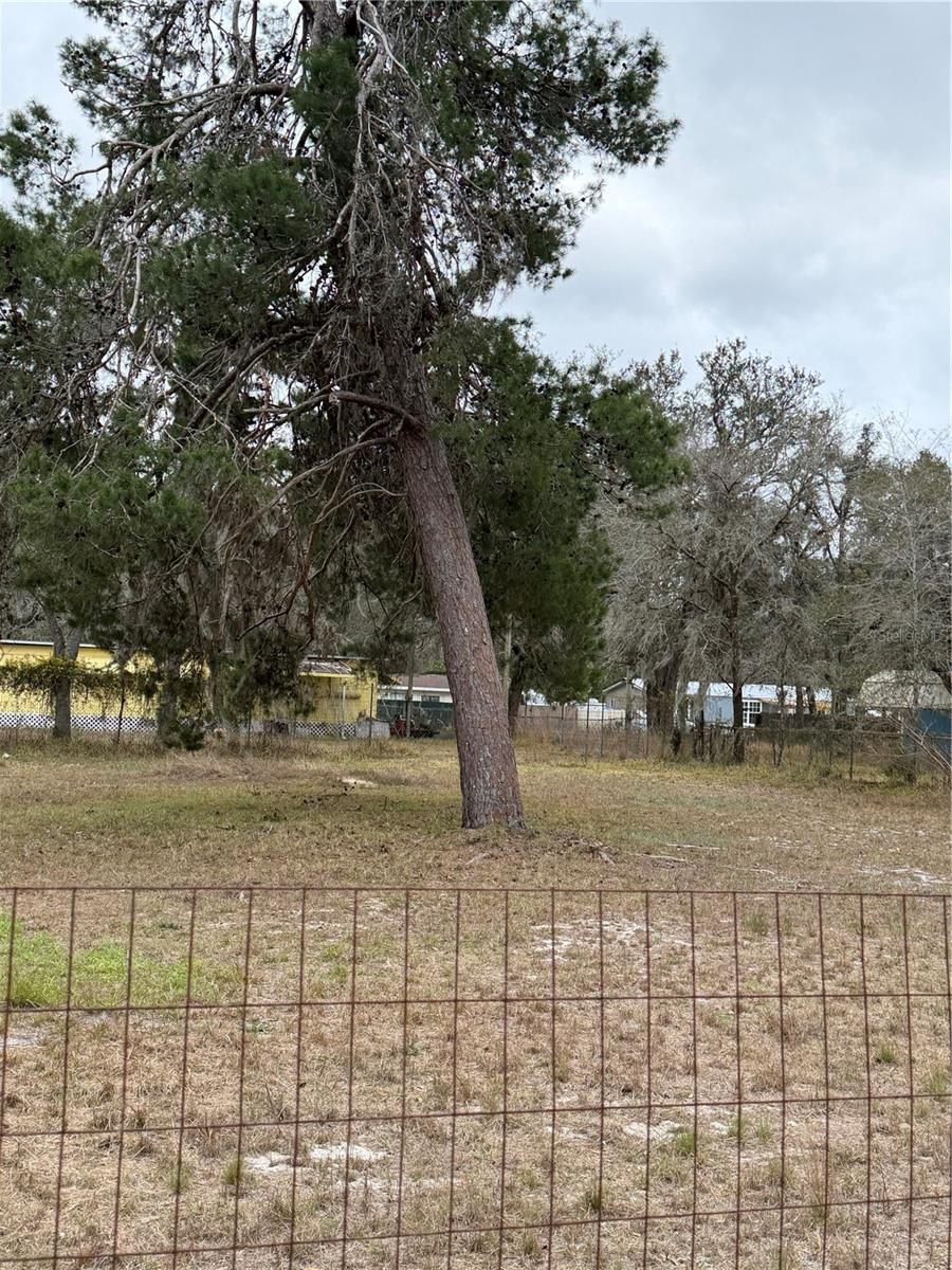 12013 BETHWOOD AVE, NEW PORT RICHEY, FL, 34654