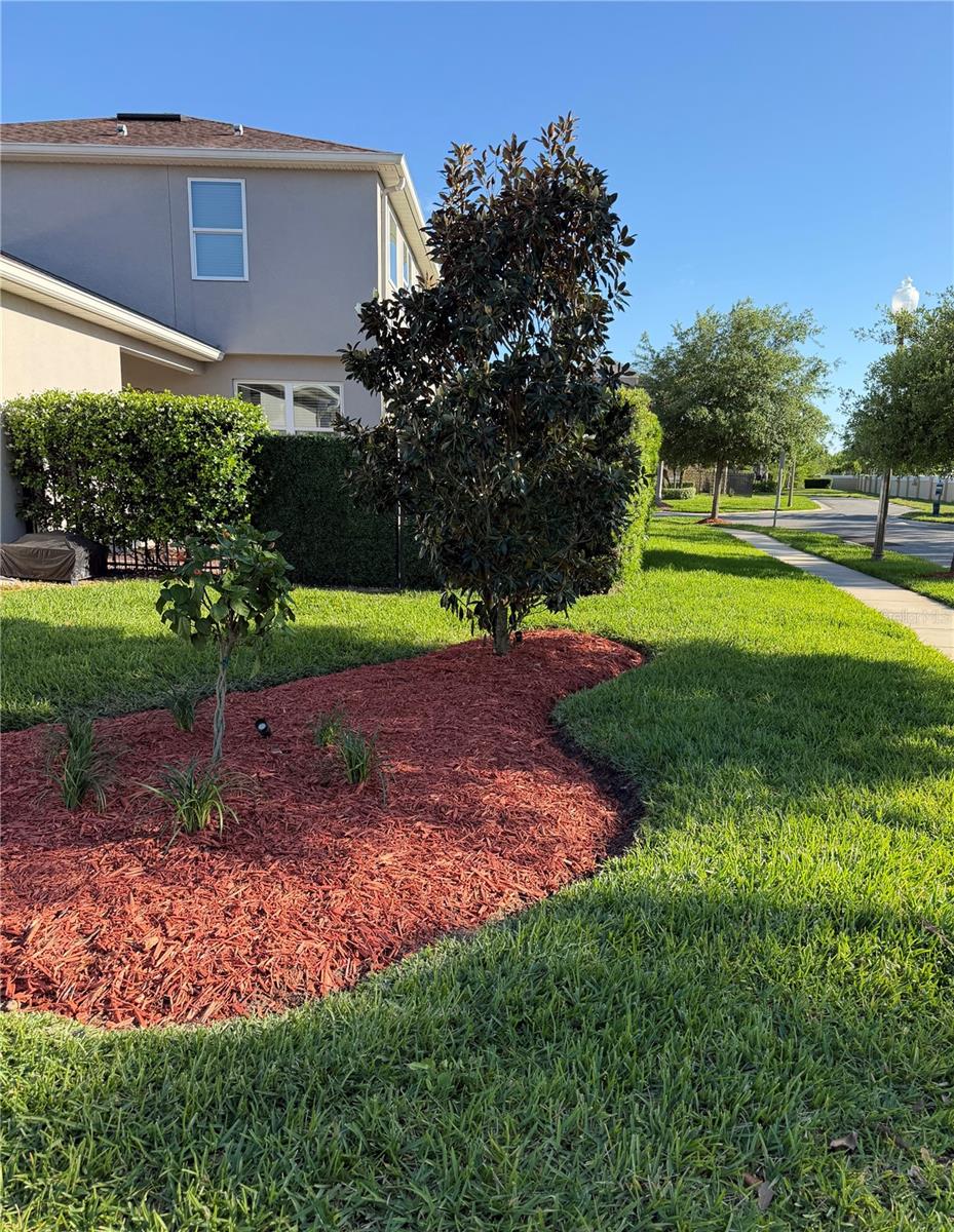 14372 BREDA CENTER LOOP, WINTER GARDEN, FL, 34787