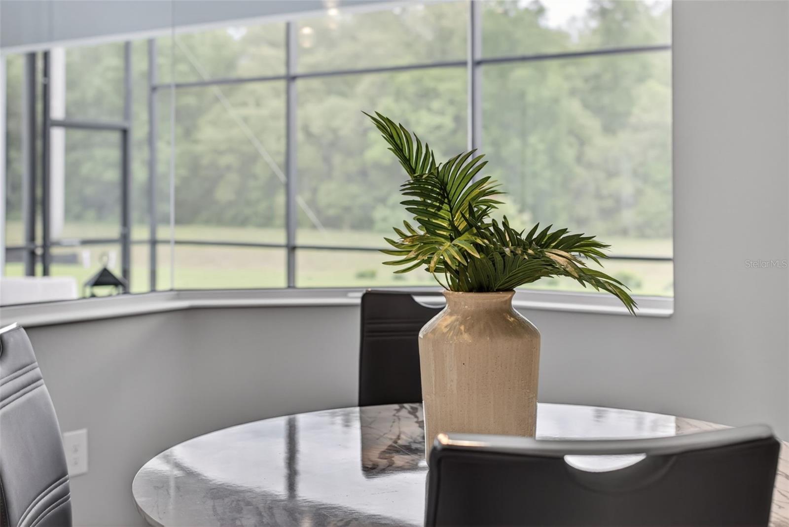 3954 KENNEBUNK LOOP, MOUNT DORA, FL, 32757