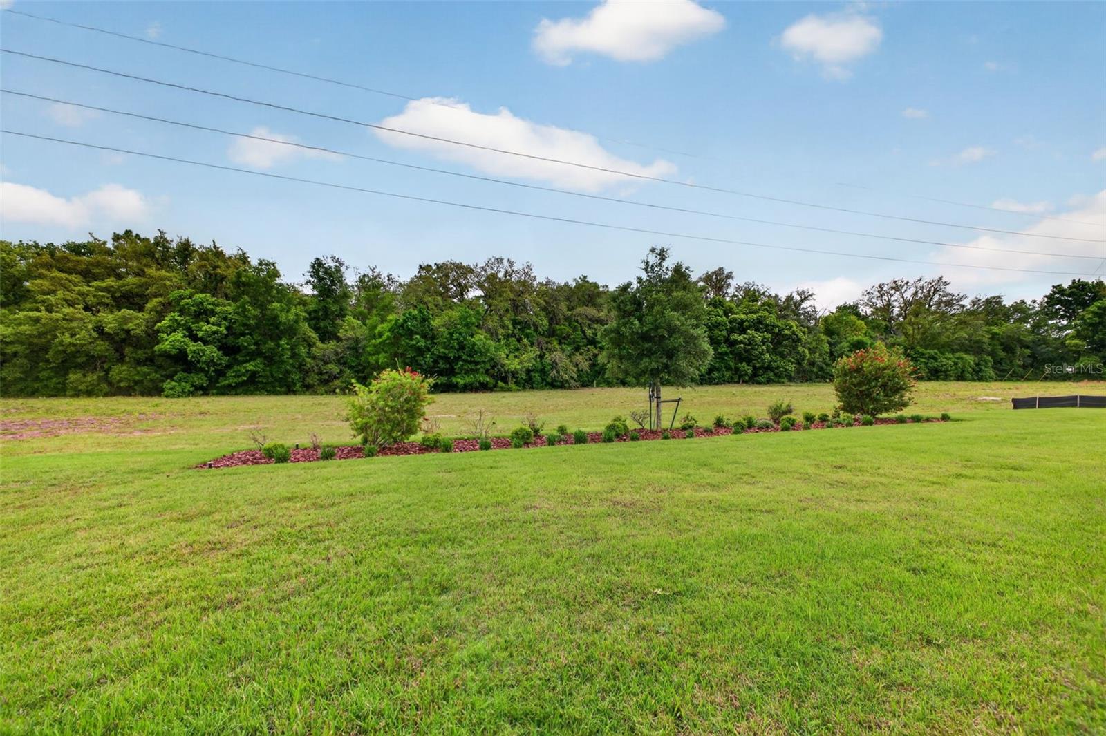 3954 KENNEBUNK LOOP, MOUNT DORA, FL, 32757