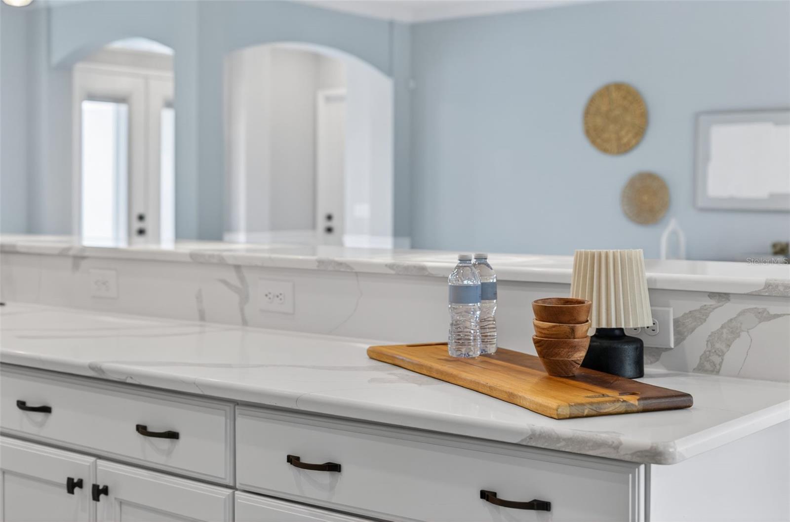 3954 KENNEBUNK LOOP, MOUNT DORA, FL, 32757