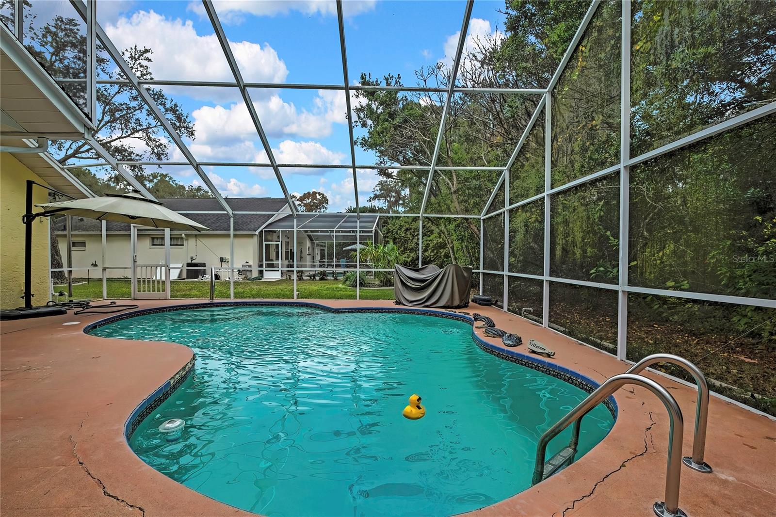 46 GREENTREE ST, HOMOSASSA, FL, 34446