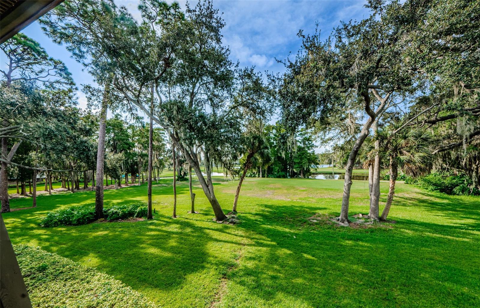 PRIVATE BALCONY VIEW OF ISLAND COURSE (HOLE #3) FROM CONDO