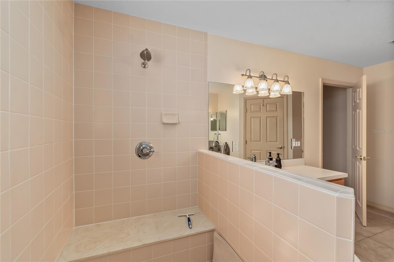 4700 NW 157TH CT, MORRISTON, FL, 32668