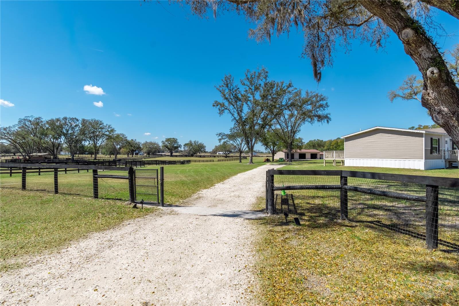 4700 NW 157TH CT, MORRISTON, FL, 32668