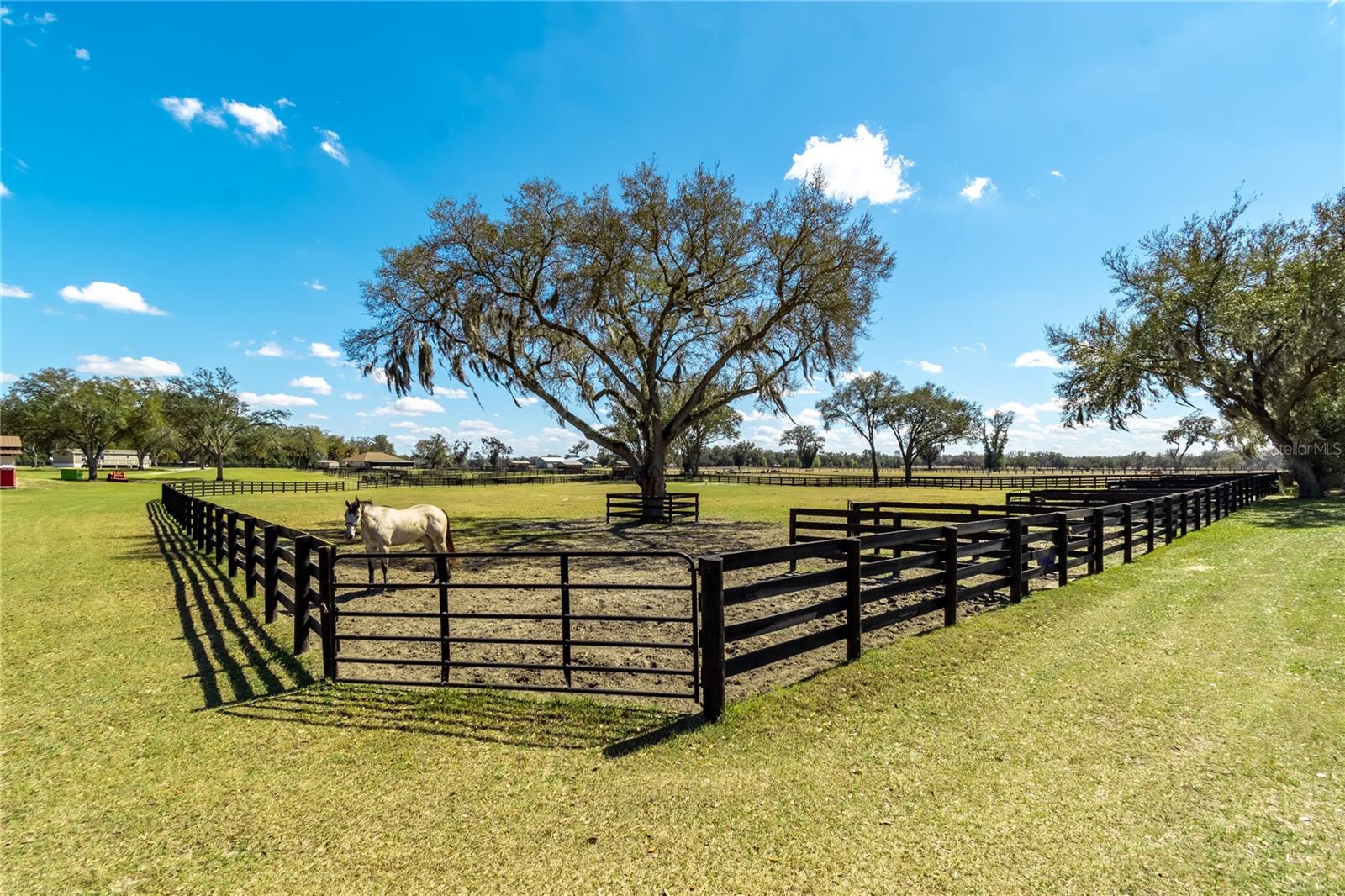 4700 NW 157TH CT, MORRISTON, FL, 32668