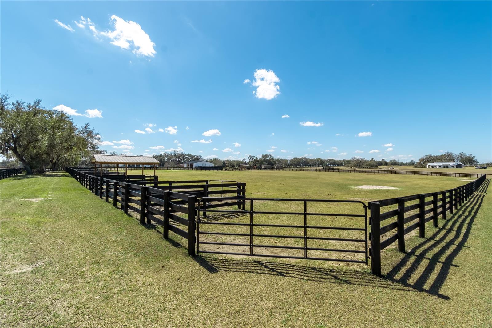 4700 NW 157TH CT, MORRISTON, FL, 32668