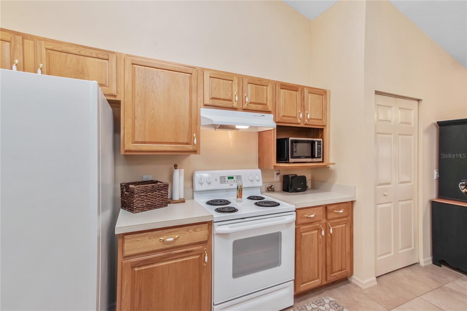 4700 NW 157TH CT, MORRISTON, FL, 32668