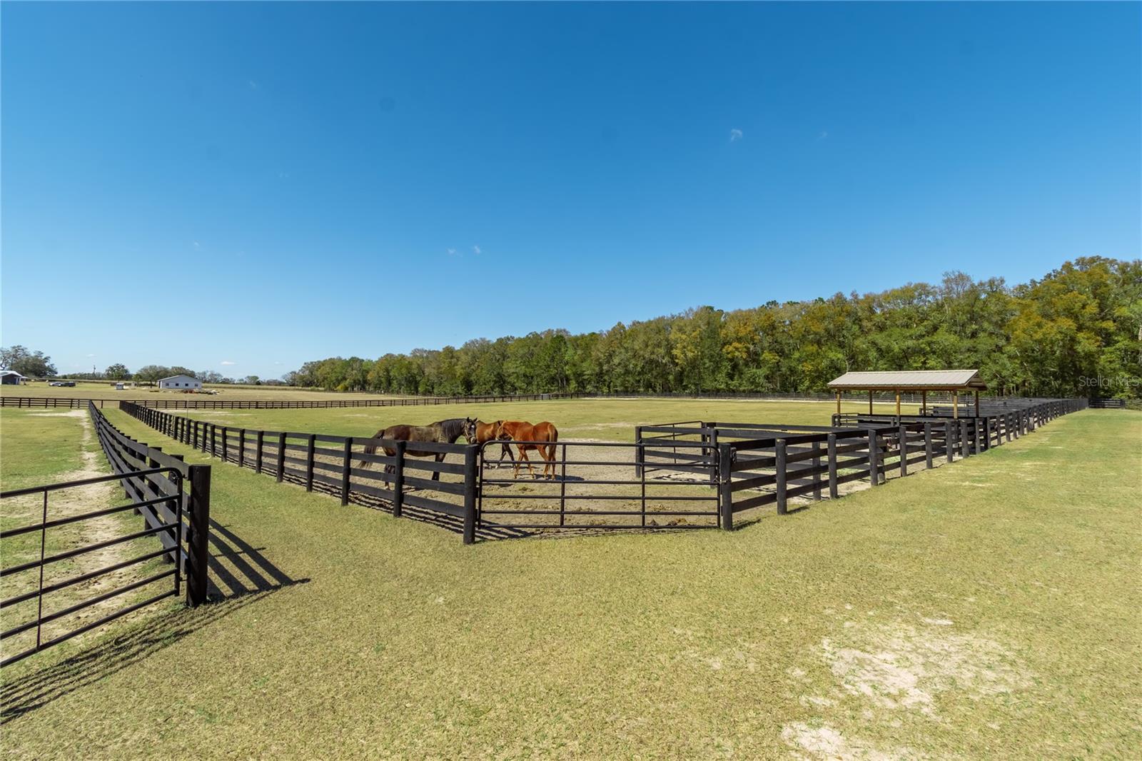 4700 NW 157TH CT, MORRISTON, FL, 32668