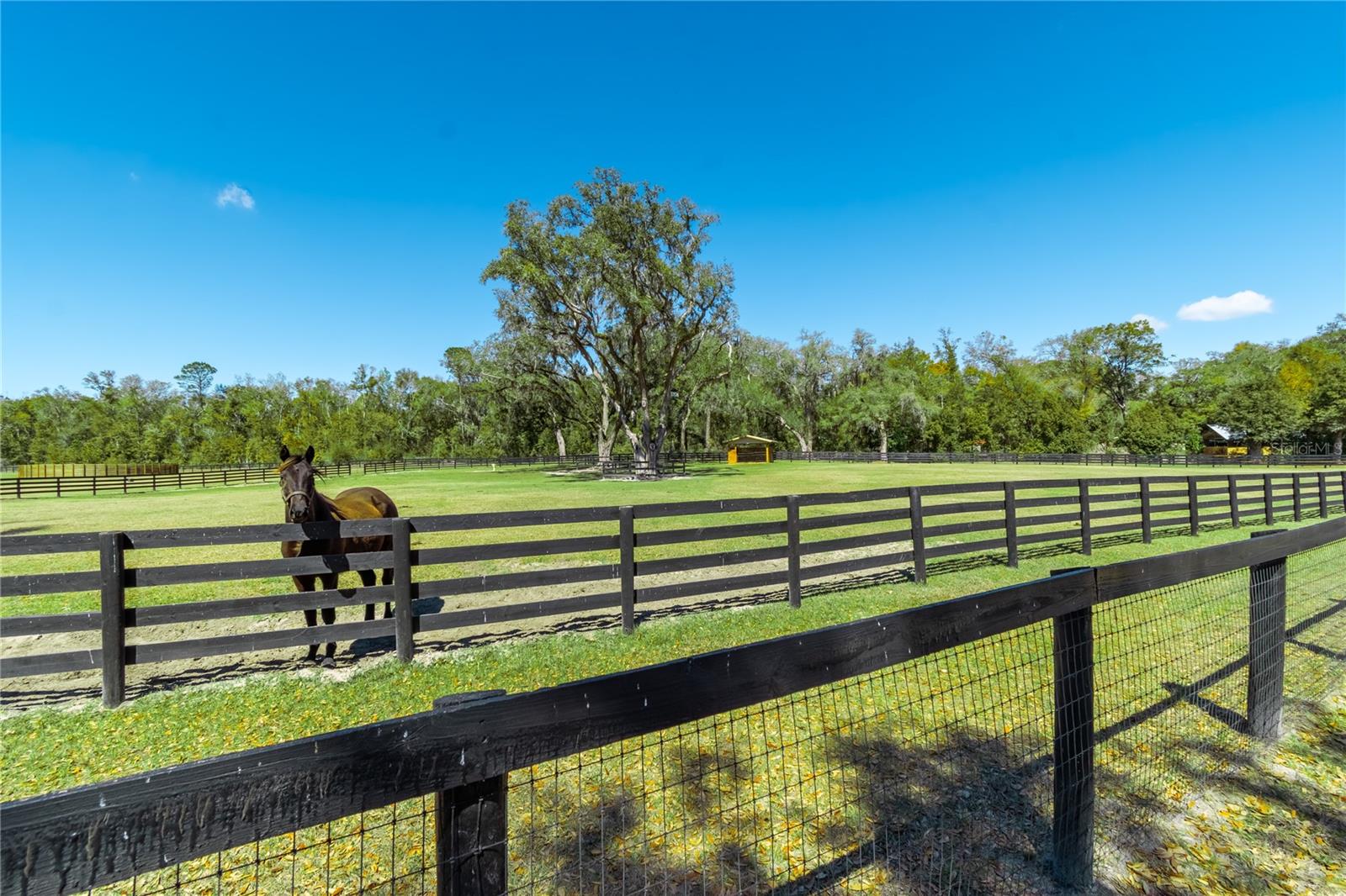 4700 NW 157TH CT, MORRISTON, FL, 32668