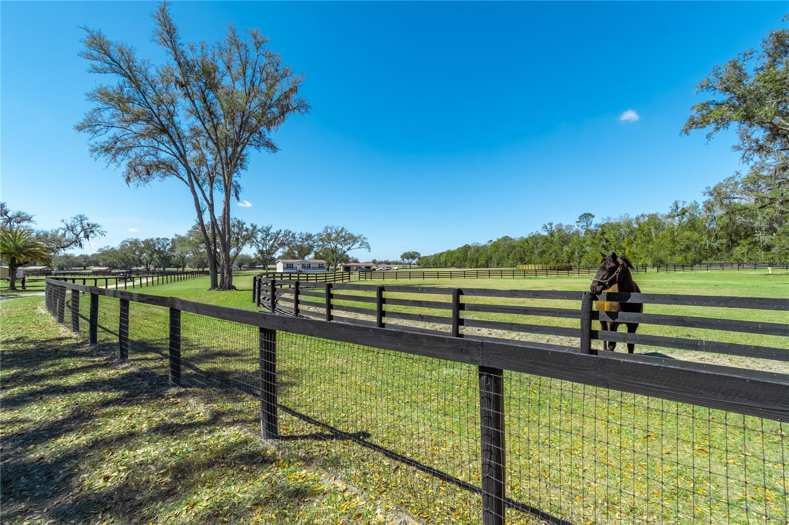 4700 NW 157TH CT, MORRISTON, FL, 32668