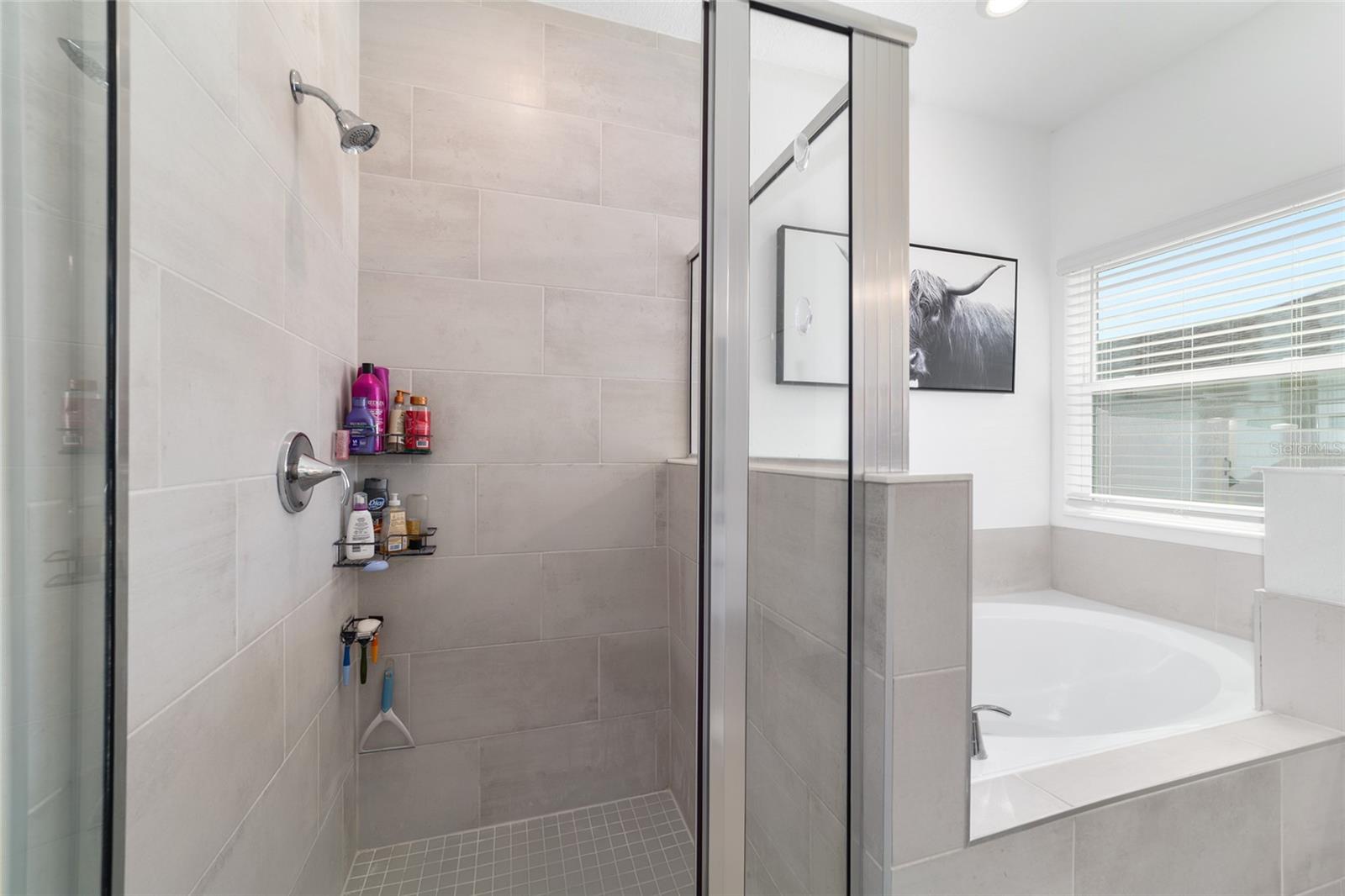 4012 NE 33RD AVE, OCALA, FL, 34479