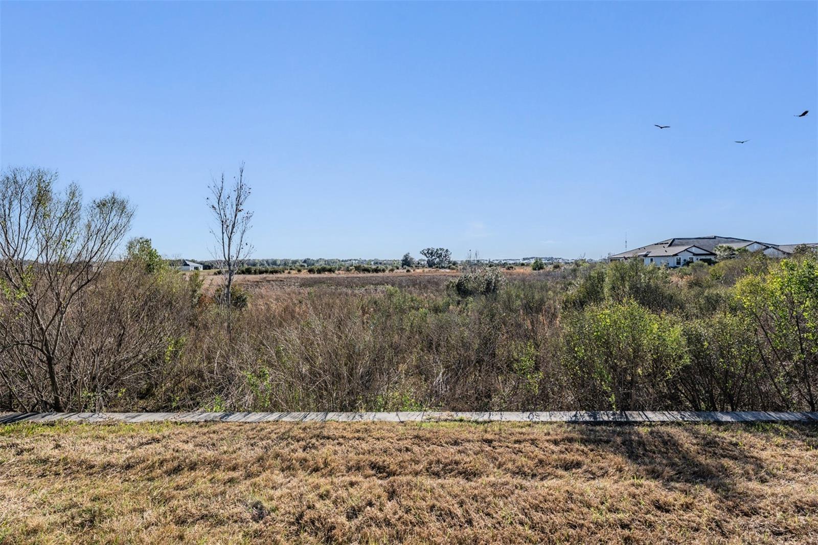 Natural setting with conservation and pond in distance