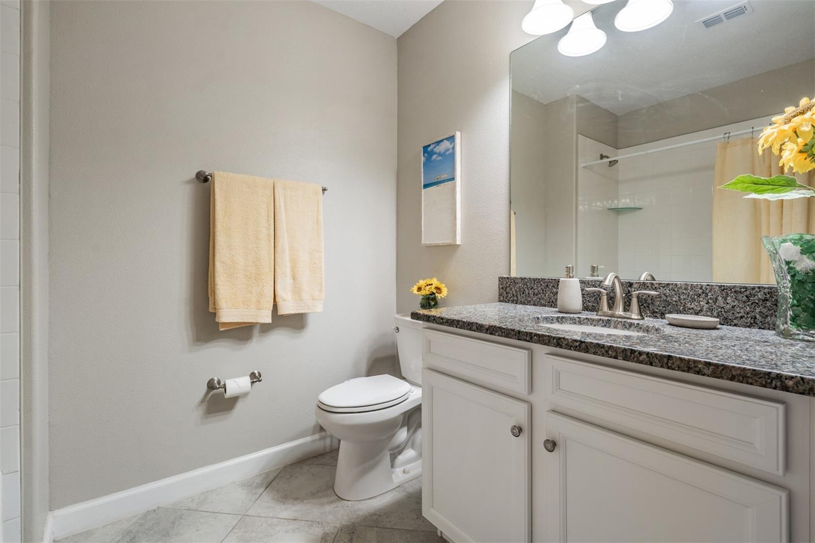 Guest bath with tub/shower combo