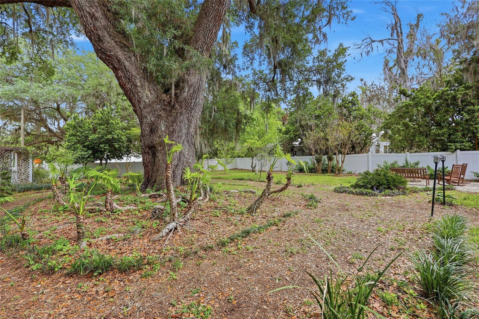 6070 AVENUE F, MC INTOSH, FL, 32664