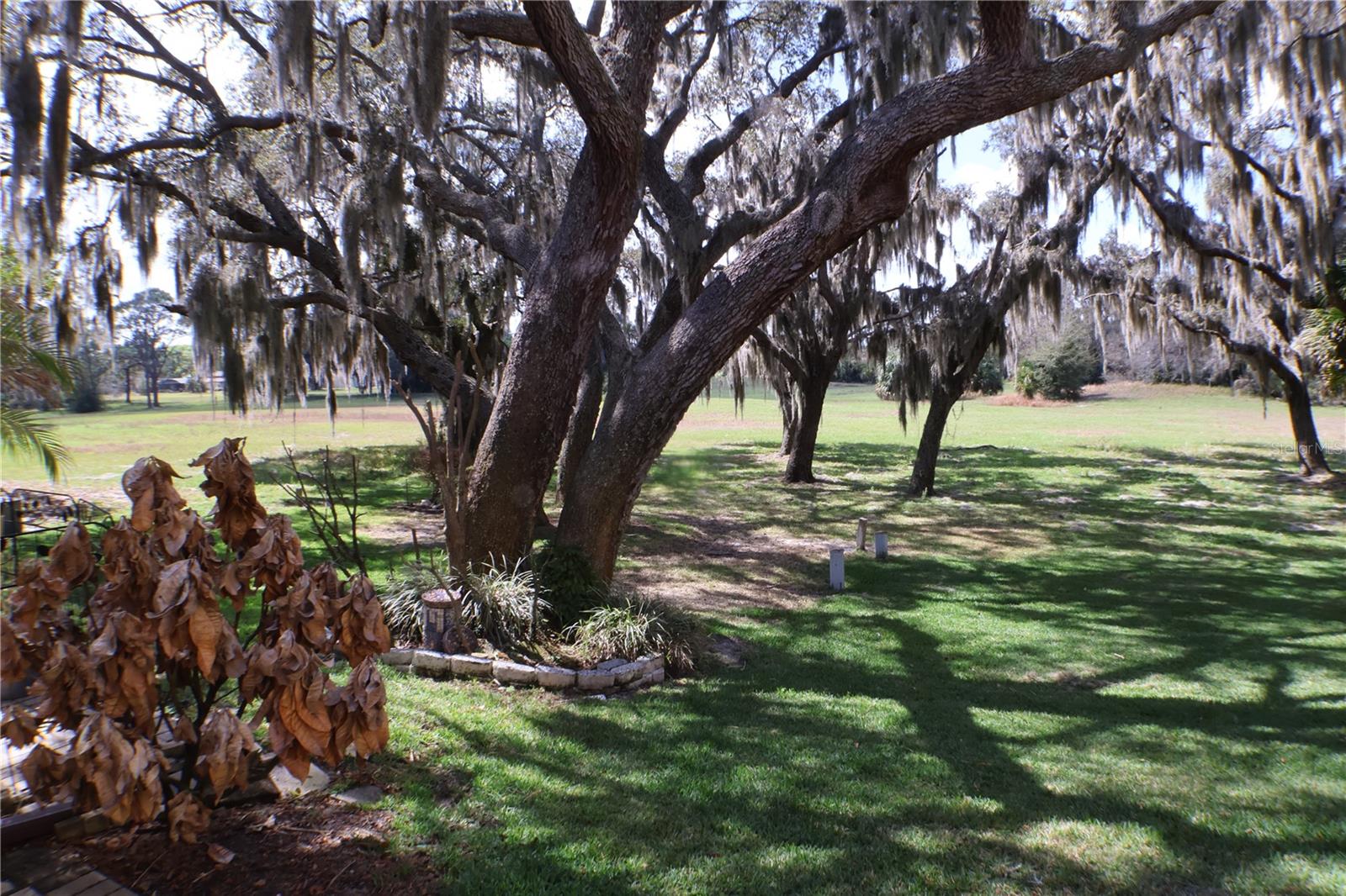 3003 FINSTERWALD DR #3, TITUSVILLE, FL, 32780