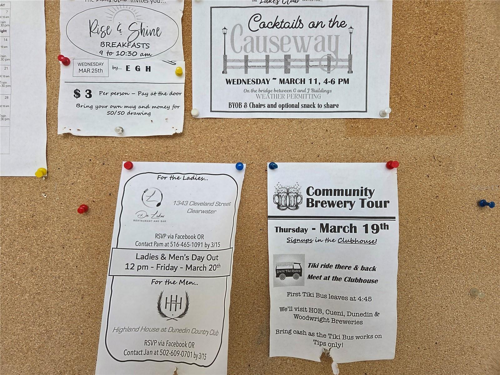 960 VIRGINIA ST #207, DUNEDIN, FL, 34698